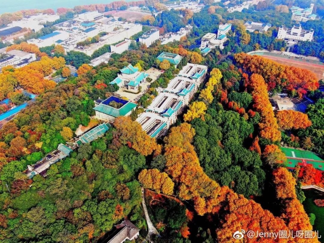 我们的武汉大学125岁了呀!