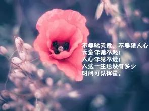 朋友圈人氣超高的一句話說說心情短語,句句入心