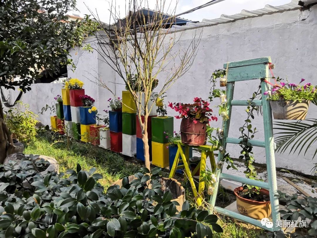 奇思妙想紅旗村綠蔭庭院燕鶯啼嘉興市級優美庭院創建村展播