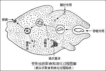 经营管理:有生命的企业才不会被淘汰