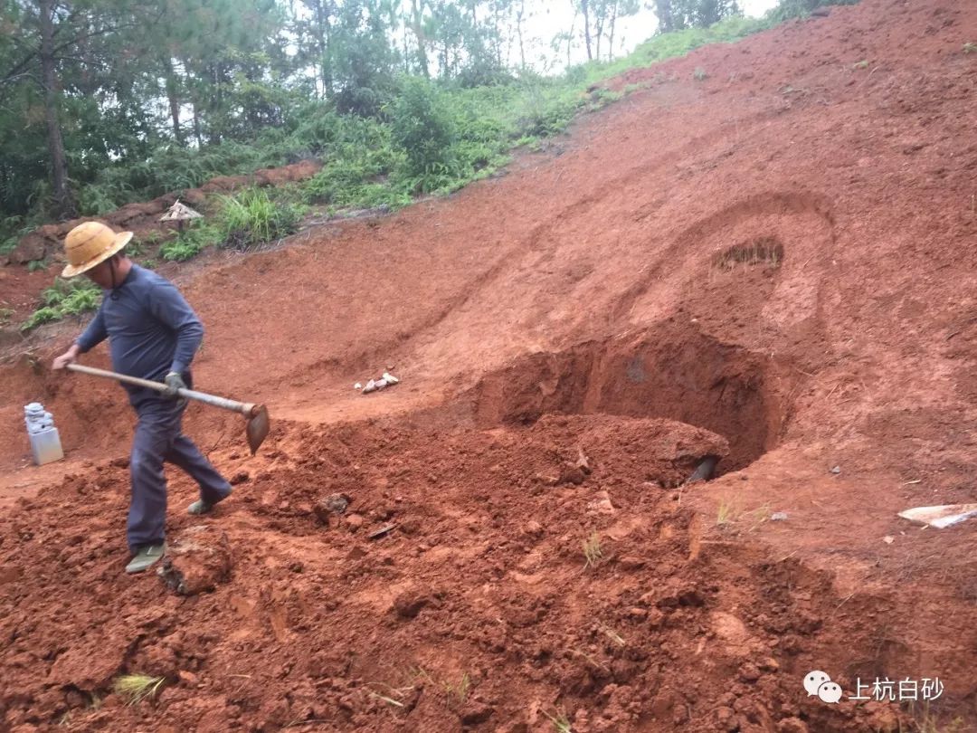 白砂鎮:重拳出擊合力整治違建墳墓