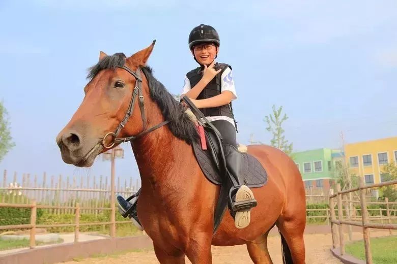 北京儿童骑马俱乐部图片