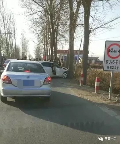 劉現莊西邊十字路口轎車撞樹上了小編微信:yutianbaoliao地址:玉田