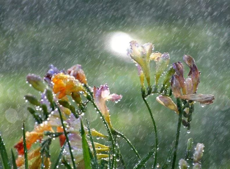 晴天要結束了陰雨重返廣西桂林南寧等10市都有小雨