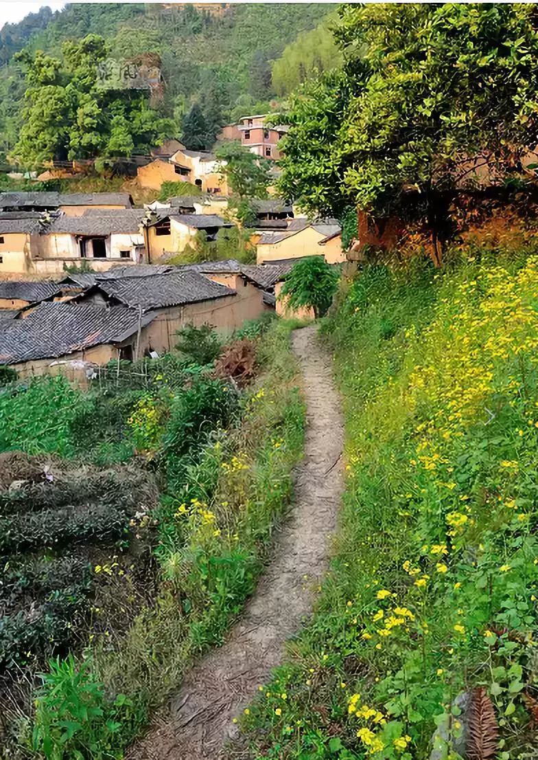 依坡而建黑瓦,黄泥土墙的几排农舍和通向村里几条朴素的山路组成的古