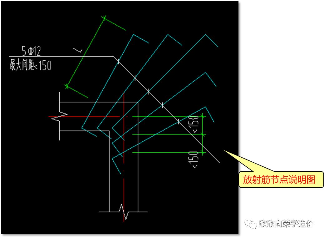 放射筋怎么画图片