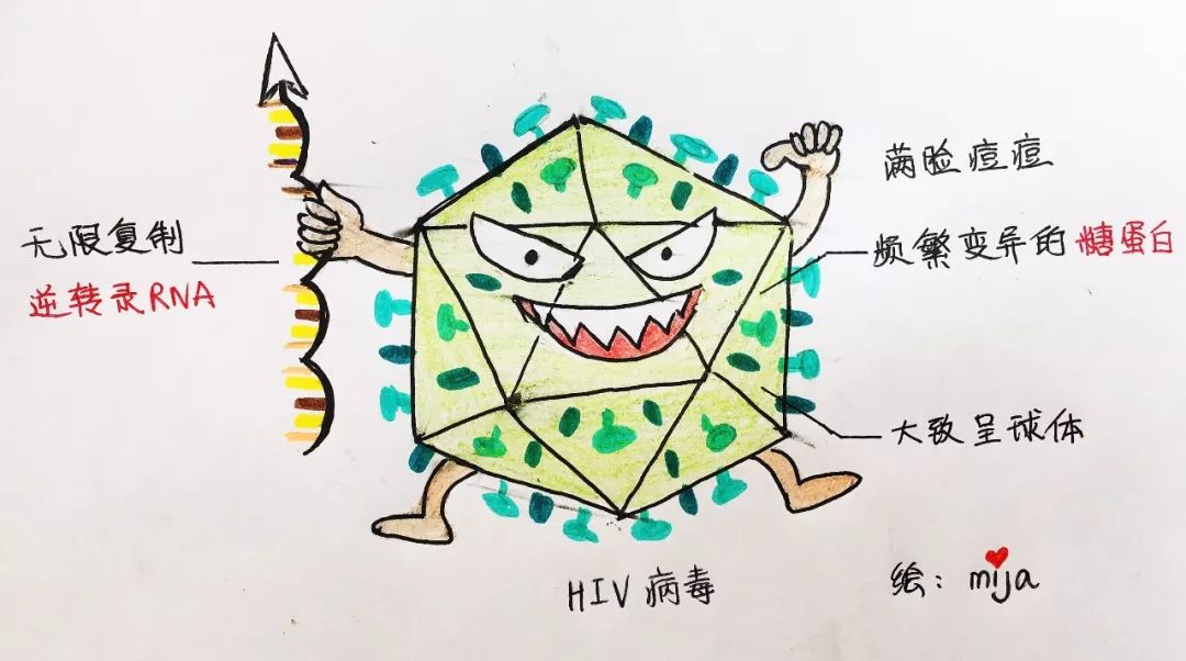 艾滋病是一种危害性极大的传染病,由感染艾滋病病毒(hiv病毒)引起