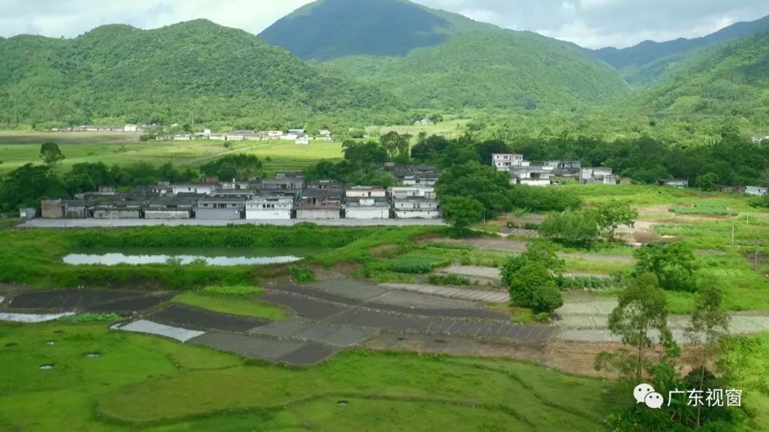 严格监管 加强森林资源保护横陂镇地处恩平,台山,阳江三市交界处,是