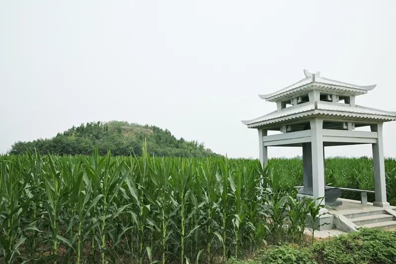 徽陵为李嗣源之墓,位于洛阳孟津县送庄乡送庄村一带