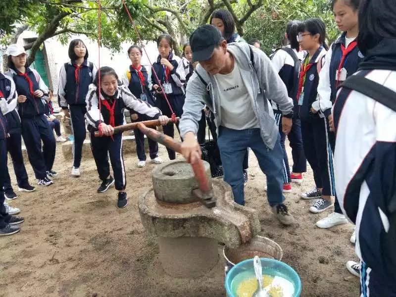 漳州研学实践基地图片