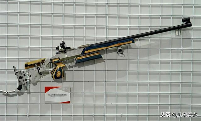 健卫15小口径步枪图片