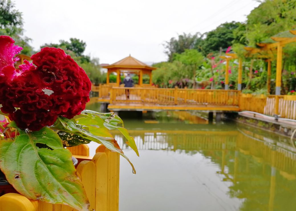 【12月3號】網紅地打卡:潮州鳳翔峽觀瀑布,翔雲5d玻璃橋,玉瑤山莊一天