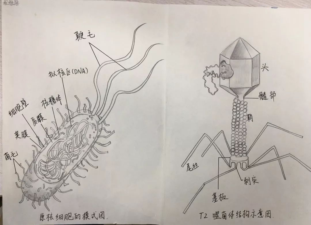 態度這一次他們的畫風突變但是他們忠實科學精神的基因沒有變