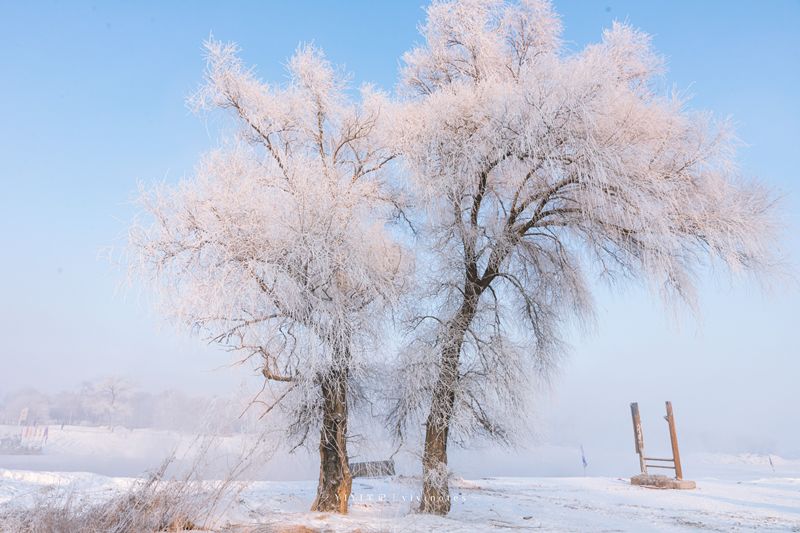 嗨皮士东北雪国升级版一场关于雪的奇幻旅行这个冬季共赴一场冰雪奇缘