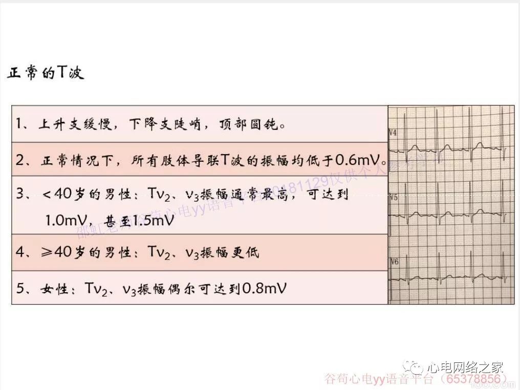 1129 邵虹老师