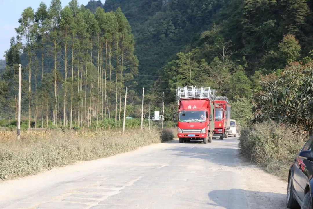 天等高速路口图图片