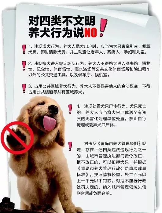青岛禁养犬图片