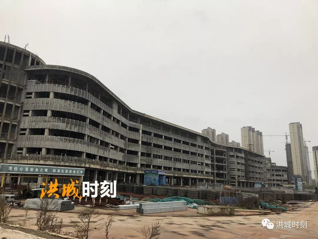 九龍湖新城迎來配套建設小高峰!學校,醫療,公園,商業齊發!