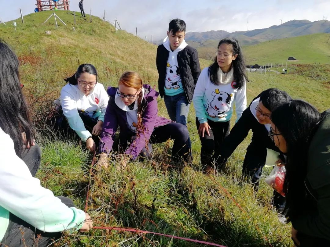 湖南農業大學奶牛牛精英南山牧場行