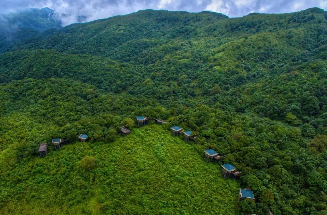 高黎贡山露营基地图片