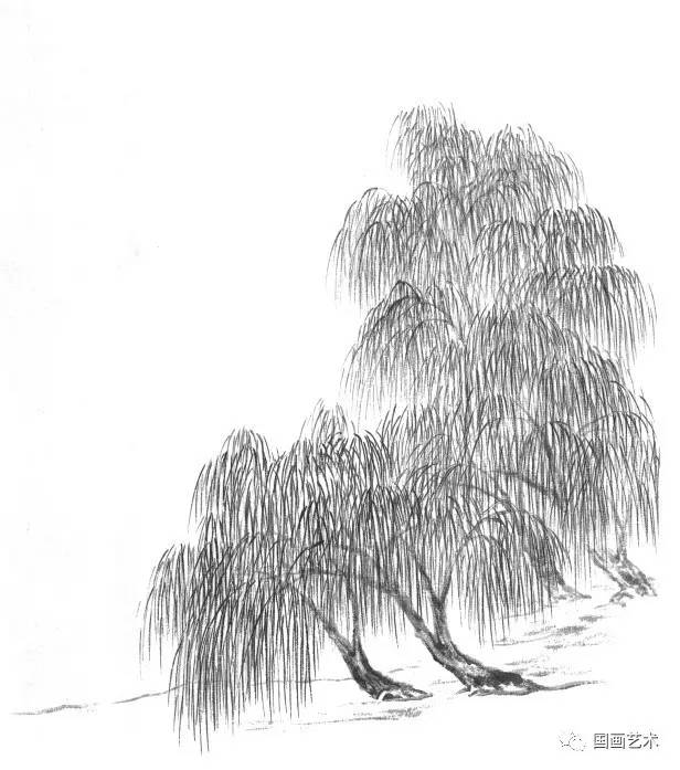 杨柳(四)画点叶丛柳,要求在画柳树树身时,即以雄伟的用笔线条出枝