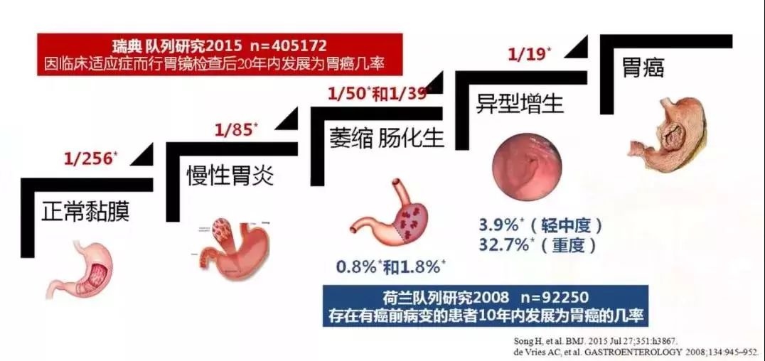 保胃健康萎缩性胃炎离患癌到底有多远