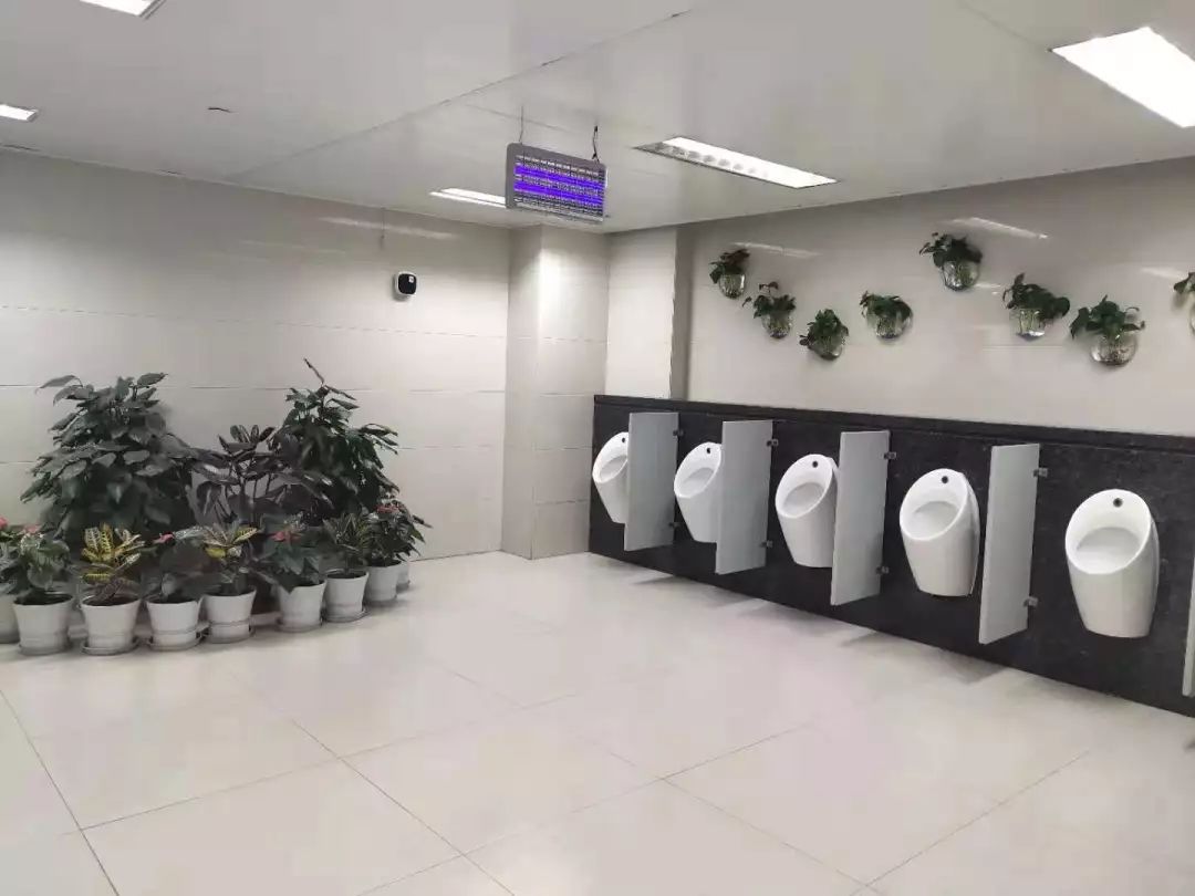 双流机场厕所图片