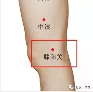 膝关的准确位置图片图片