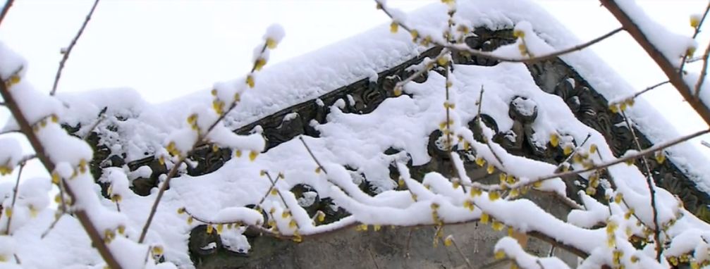 隔牖风惊竹,开门雪满山