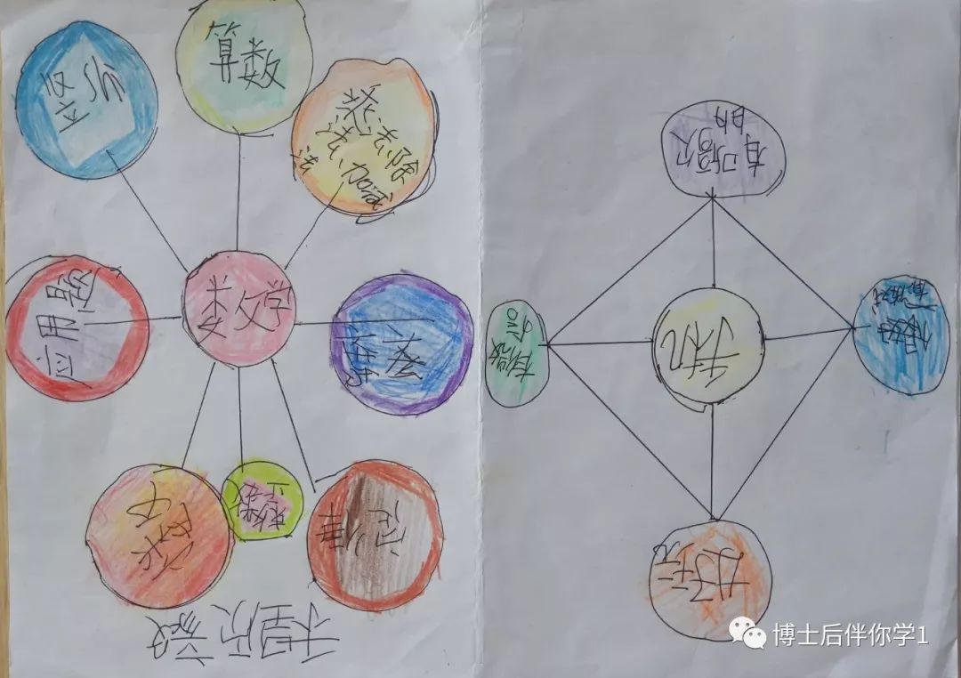 上海新虹桥小学思维地图气泡图