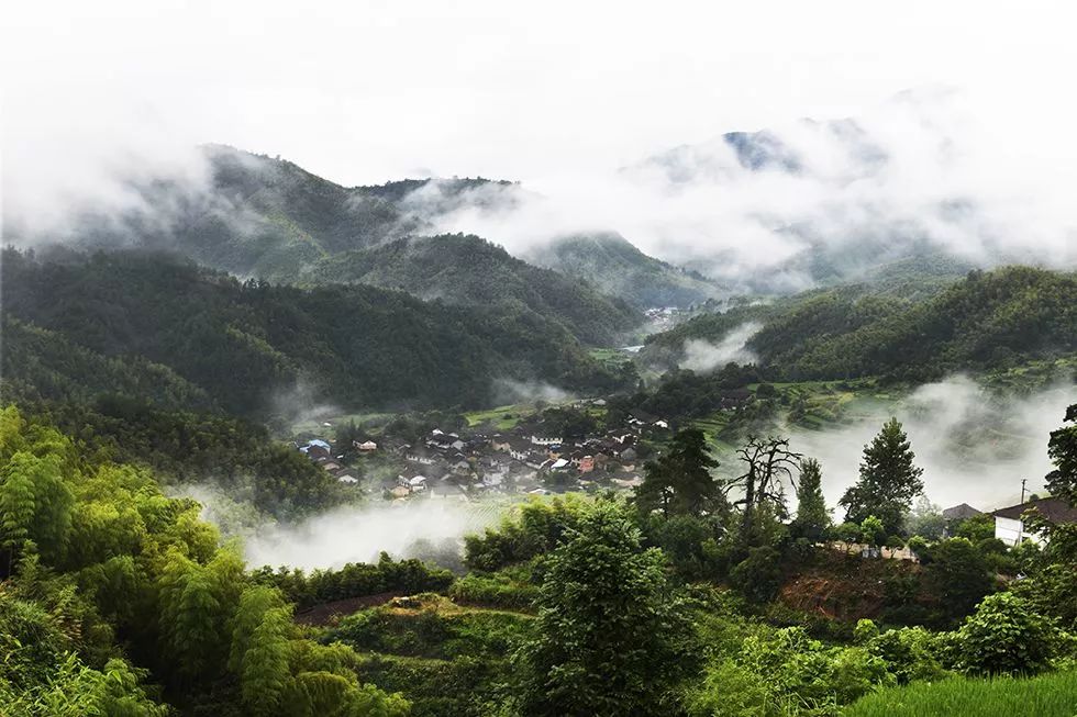 17個村分別是:蓮都區聯城街道汝河村,縉雲縣壺鎮鎮金竹村(傳統),壺鎮