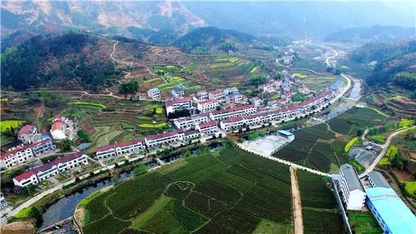 东岳村杜皮乡张家河村金鸡坳村 小崎山村贾庙乡团风县