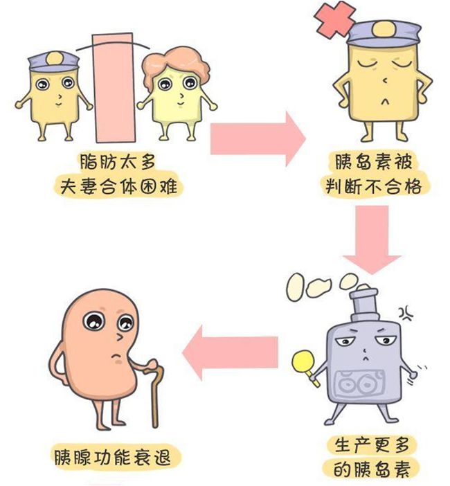 1型糖尿病:胰岛素产生不足 多为青少年起病,胰岛素分泌不足,这种类型