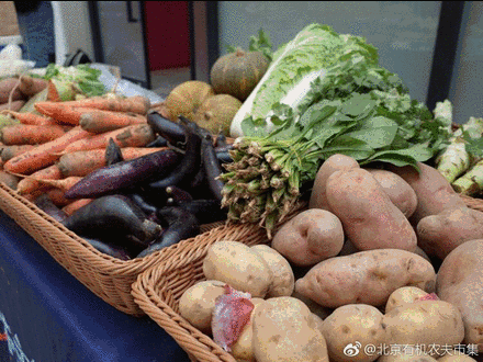 十二月北京有机农夫市集预告让我们赶集吃点暖胃好菜温暖过冬