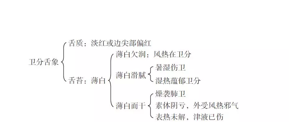 三代御醫之後趙紹琴溫病舌診辨證