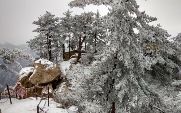 佇立山中,雪宛若一闕恬靜而婉約的詞章,舒譯在峰嶺間,墜飾在林木之上