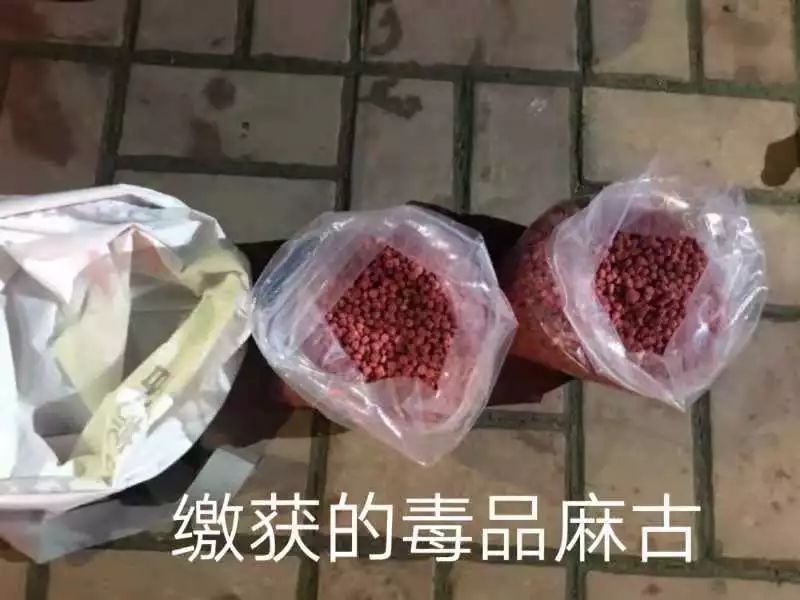 毒品图片资料图片