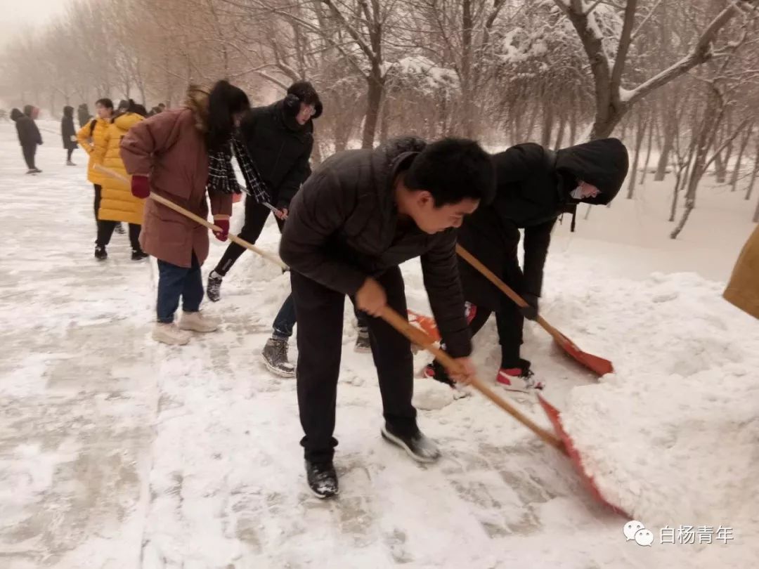 昌吉學院青年馬克思主義培訓班志願者服務活動