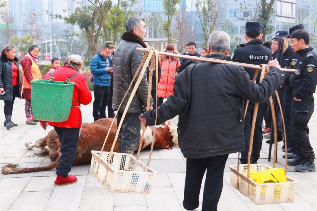 杀牛高压电枪图片