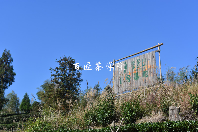 福鼎象山寺图片