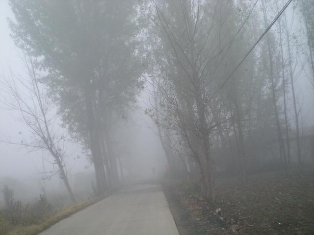 实拍大雾笼罩的乡村小路雾蒙蒙情蒙蒙一片美丽的景象
