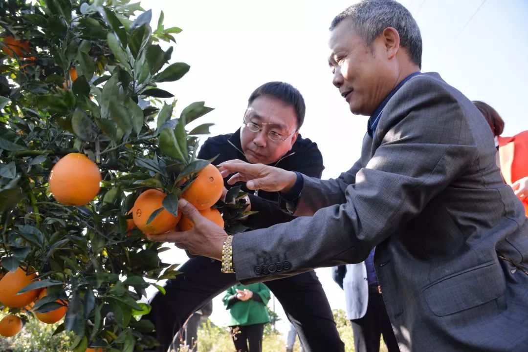 喜訊我縣聘請甲丁劉智強先生擔任定南縣人民政府文化顧問