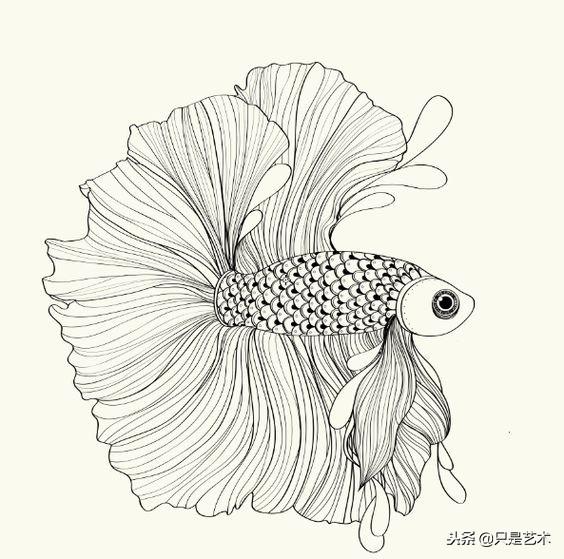 一组画鱼的素材各种画法的鱼太美了