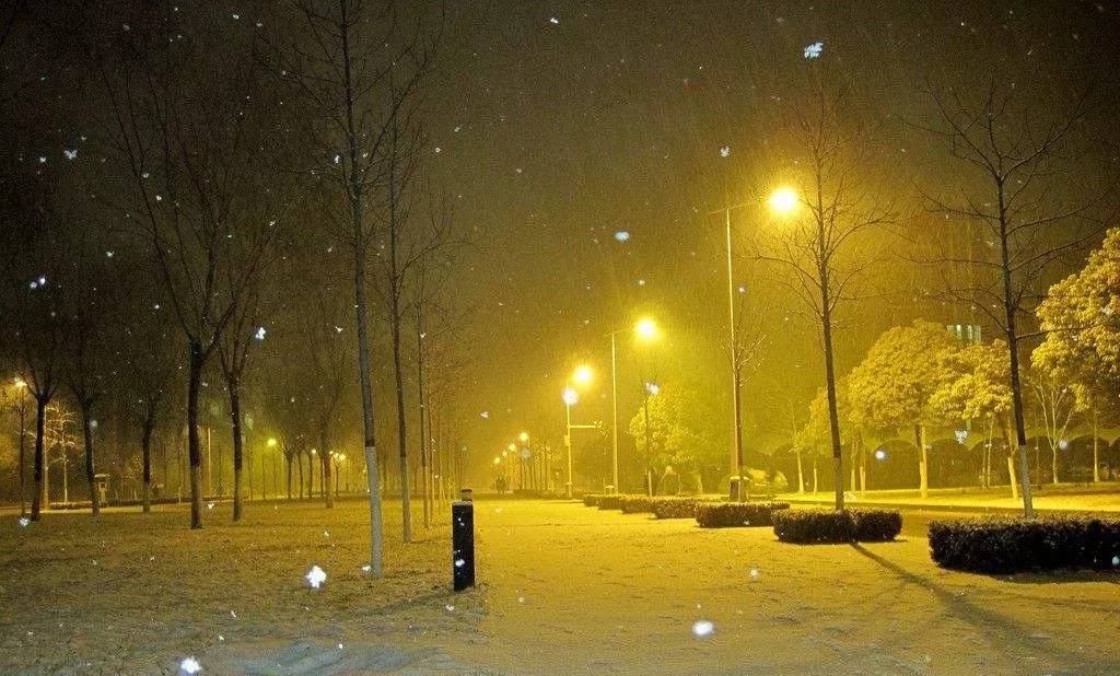 东北地区今天有雨,明天雨夹雪,局部大雪!