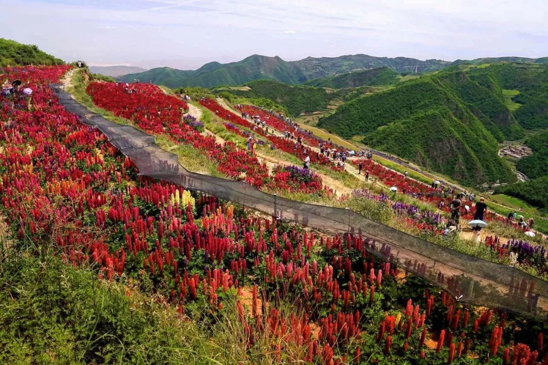 石佛溝,榆中興隆山等名山古剎,但長期滯後的交通條件嚴重製約了區域