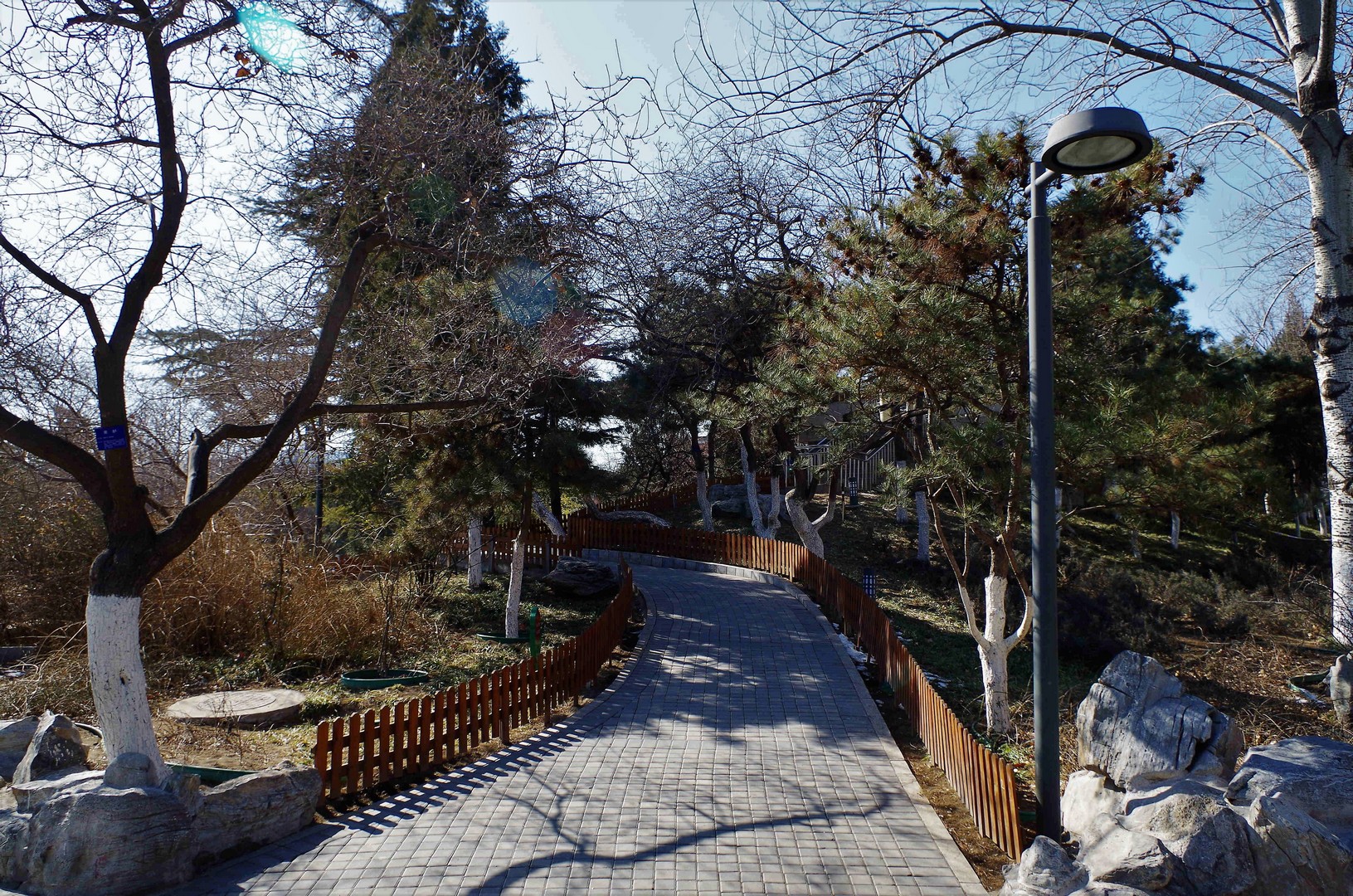 樓群之花古城公園石景山區閒走北京