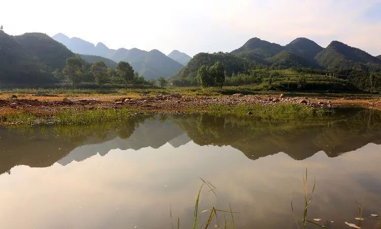 村)奇峰嶺之夏鱗次梯田(奇峰塔村)八百山上杏花開(營安村)一架尖主峰