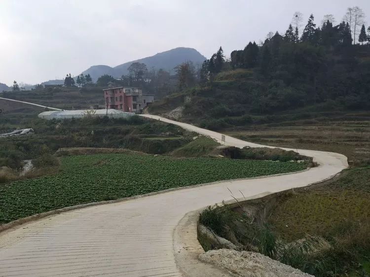 开阳县南龙乡:开辟致富新道路!_田坎