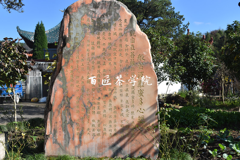 福鼎象山寺图片