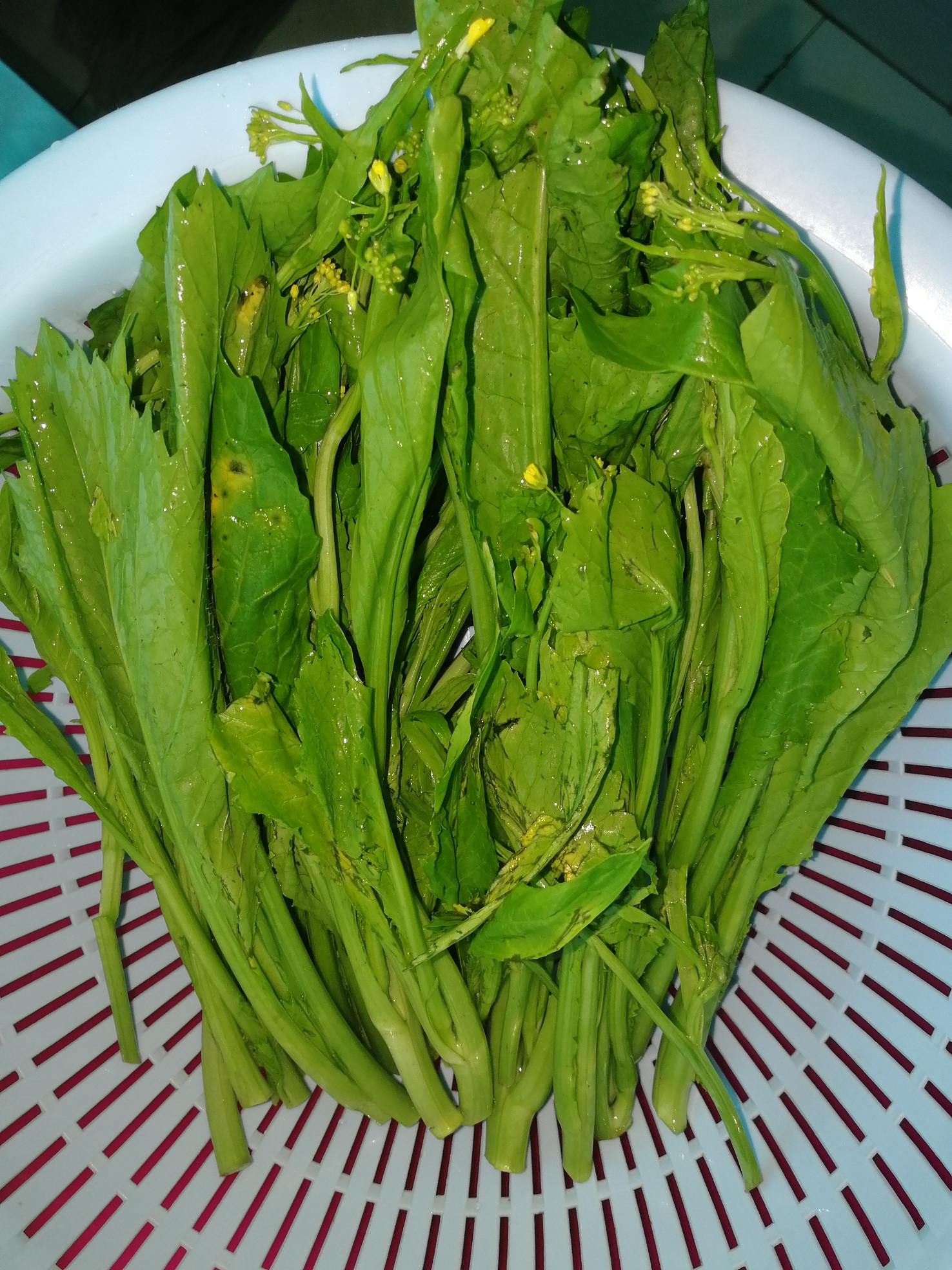 青菜薹這樣做,好吃還治療感冒_衝菜